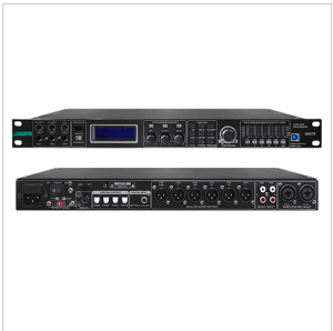 DSPPA Digital Audio Processor D6575